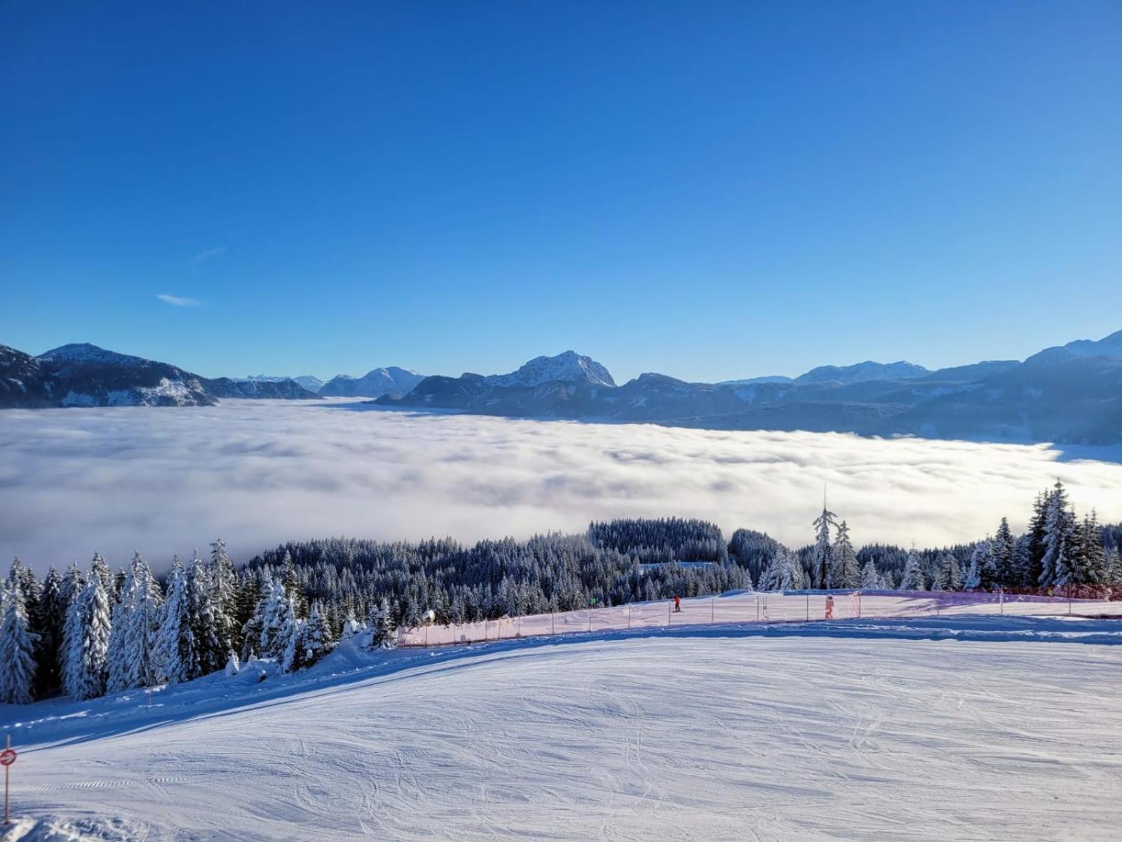 Ferienwohnung Alpenhaus Dachstein.Zauber Abtenau Exterior foto