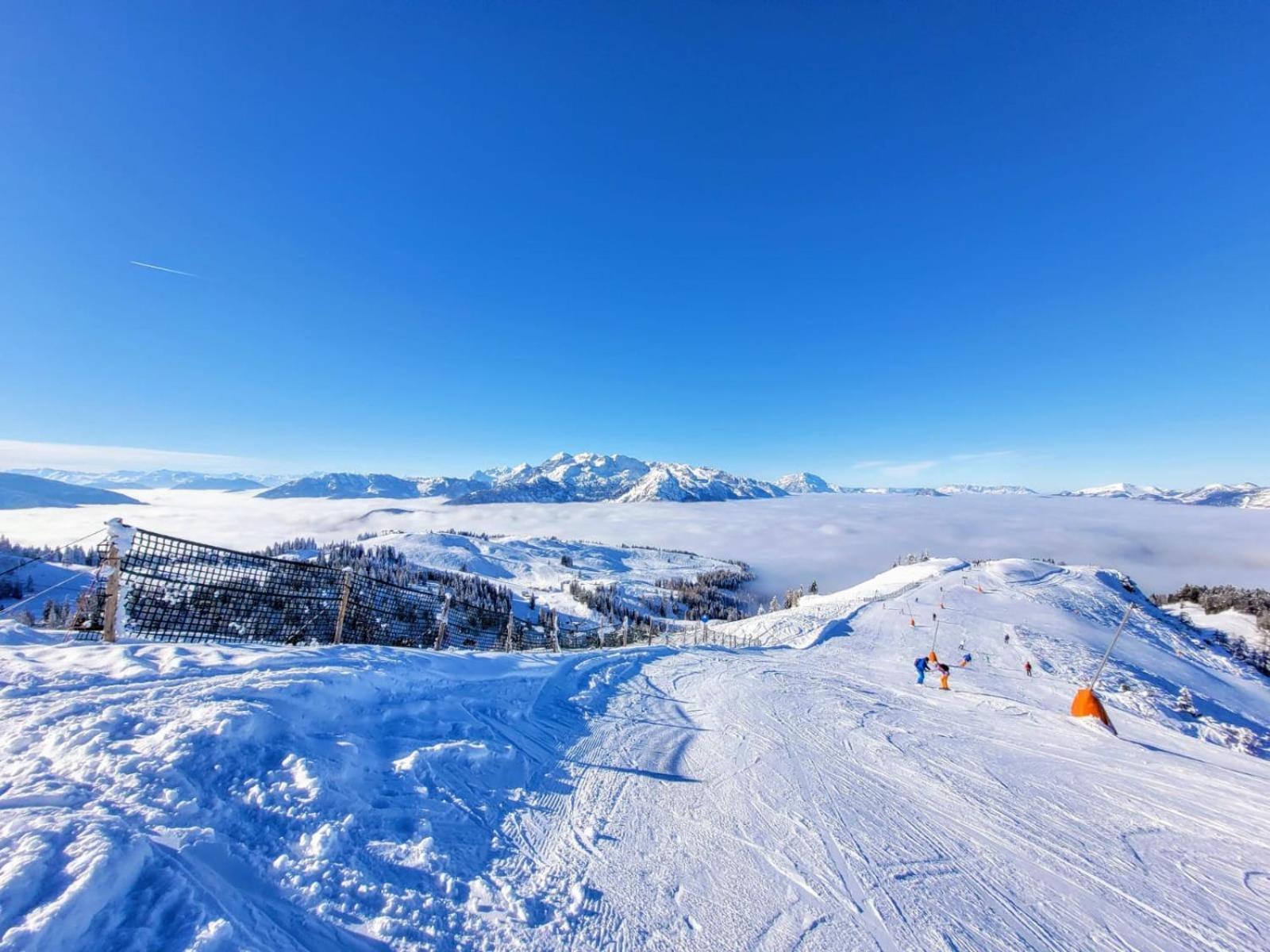 Ferienwohnung Alpenhaus Dachstein.Zauber Abtenau Exterior foto