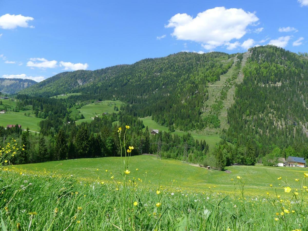 Ferienwohnung Alpenhaus Dachstein.Zauber Abtenau Exterior foto