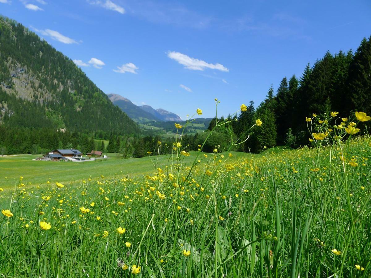 Ferienwohnung Alpenhaus Dachstein.Zauber Abtenau Exterior foto