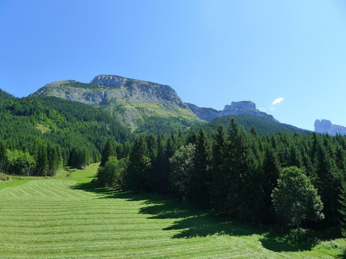 Ferienwohnung Alpenhaus Dachstein.Zauber Abtenau Exterior foto