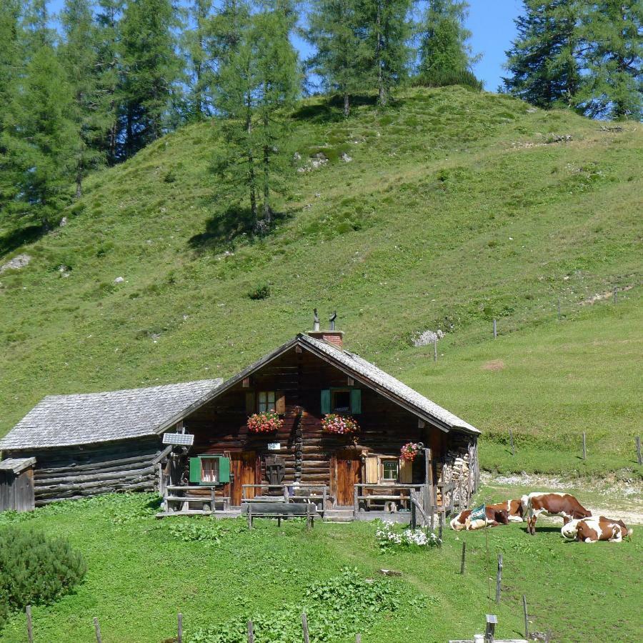 Ferienwohnung Alpenhaus Dachstein.Zauber Abtenau Exterior foto