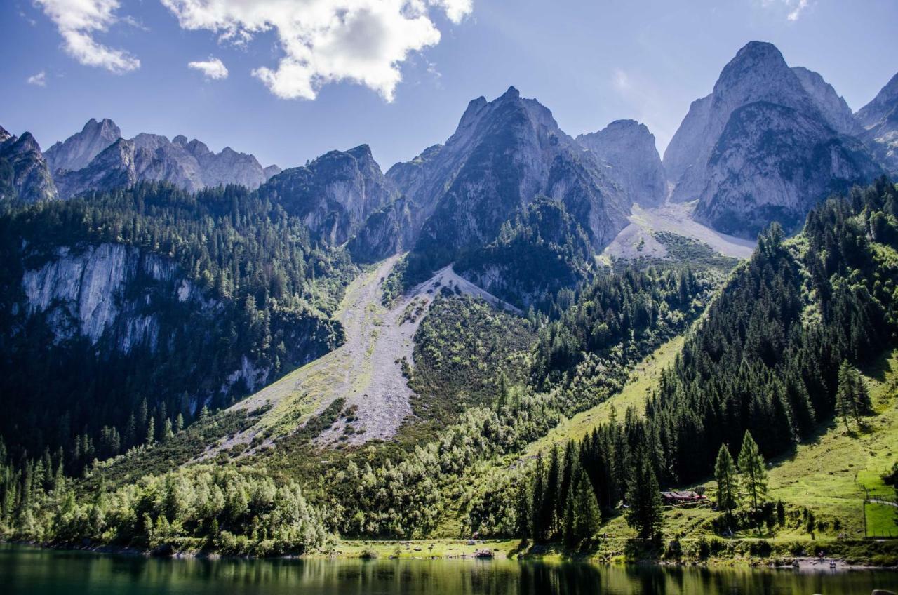Ferienwohnung Alpenhaus Dachstein.Zauber Abtenau Exterior foto
