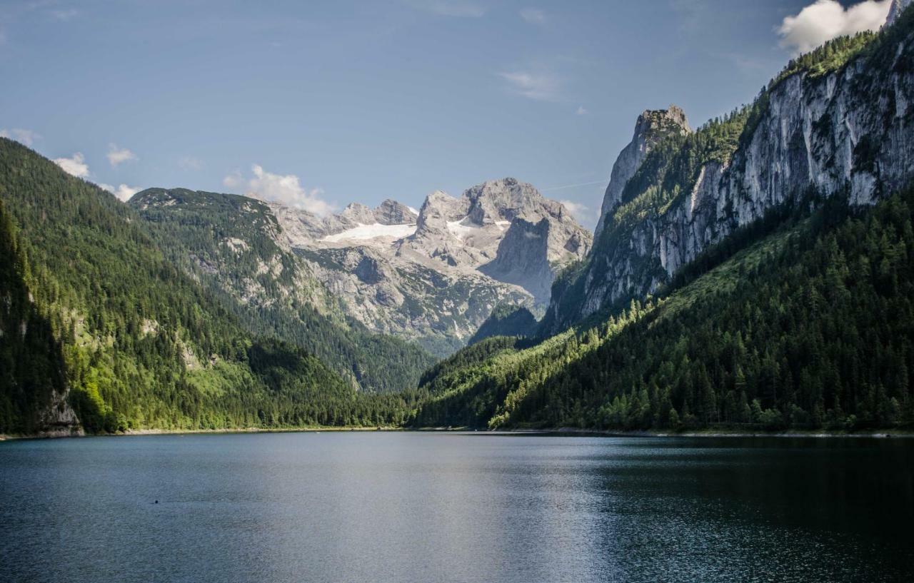 Ferienwohnung Alpenhaus Dachstein.Zauber Abtenau Exterior foto