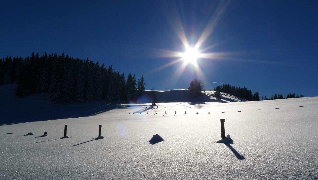 Ferienwohnung Alpenhaus Dachstein.Zauber Abtenau Exterior foto
