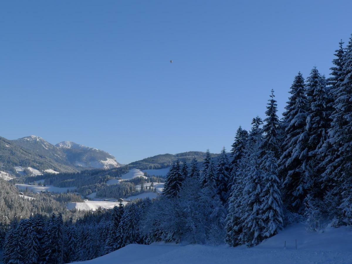 Ferienwohnung Alpenhaus Dachstein.Zauber Abtenau Exterior foto