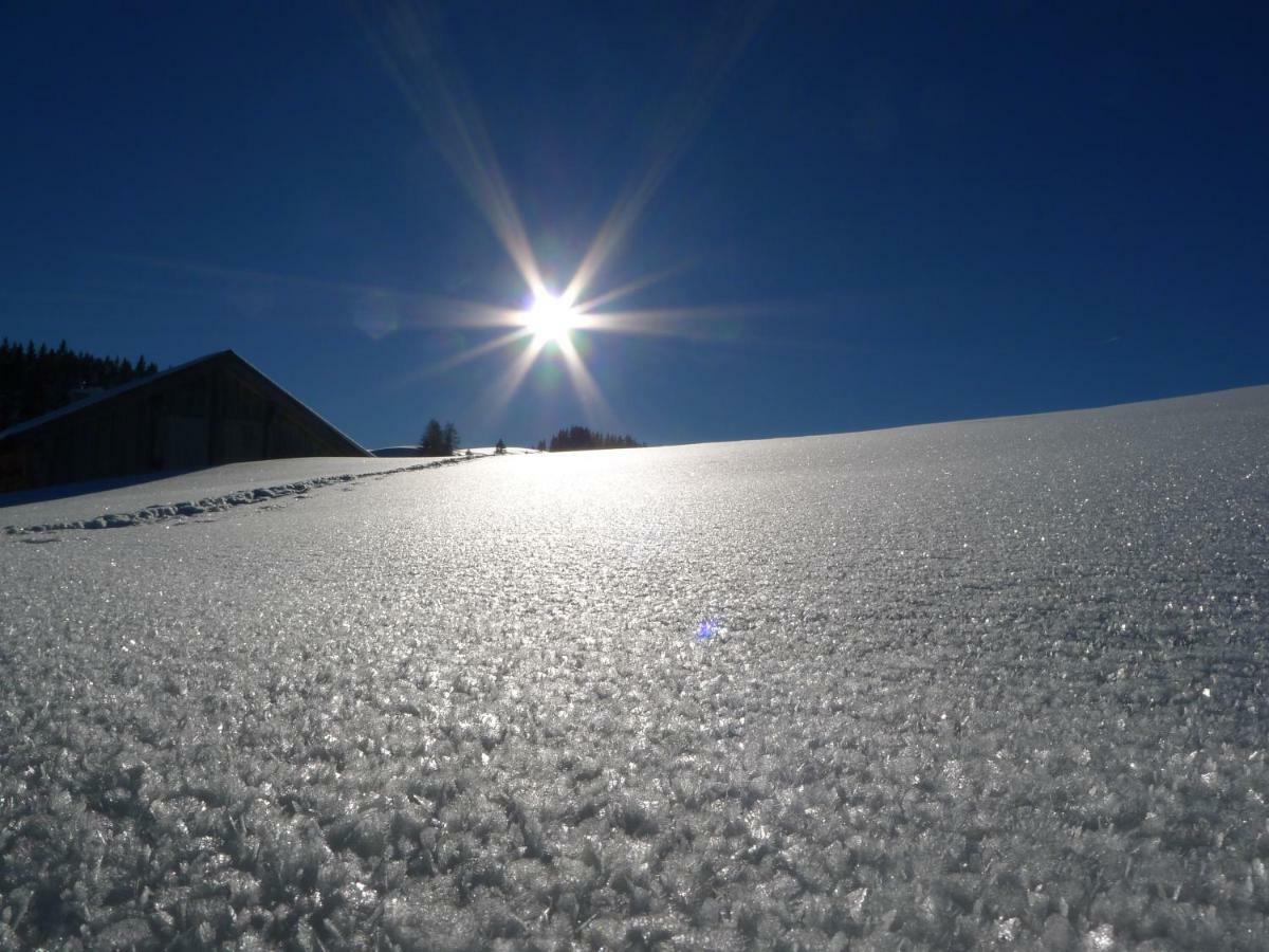 Ferienwohnung Alpenhaus Dachstein.Zauber Abtenau Exterior foto