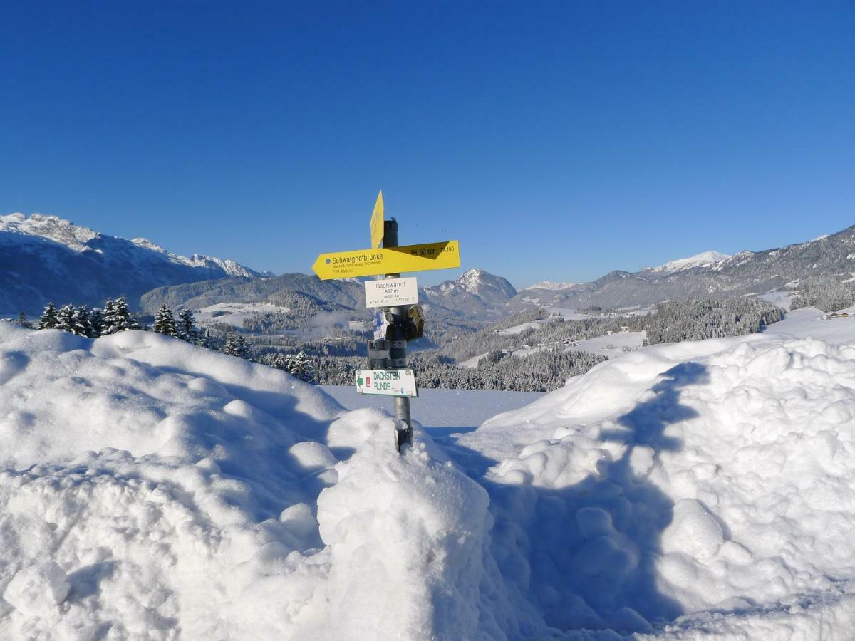 Ferienwohnung Alpenhaus Dachstein.Zauber Abtenau Exterior foto