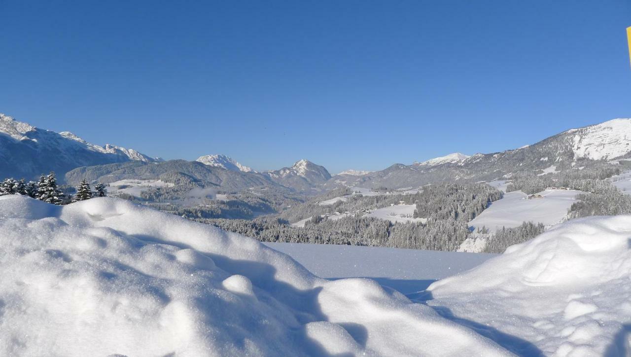 Ferienwohnung Alpenhaus Dachstein.Zauber Abtenau Exterior foto